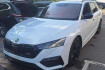 Skoda Octavia RS 2 0 tdi rs 4×4*dsg*panorama*ahk*ergoactive*canton*