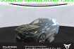 Cupra Formentor Autres 1.5 tsi el. heckkl. matrix led navi kamera park