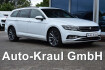 Volkswagen Passat SW Business Passat variant 2.0 tdi scr dsg business