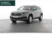 Skoda Kodiaq Style style tdi dsg matrix ahk navi r kamera