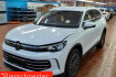 Volkswagen Tiguan Goal 2.0 tdi dsg 4mo. elegance ahk dcc pro iq.light sta