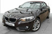 BMW Série 2 Gran Tourer  Serie 2  218i cabrio / advantage + navi + hifi + rfk + pd