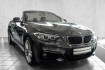 BMW Série 2 Gran Tourer  Serie 2  220i cabrio m sport navi business climatisation automatique pdc